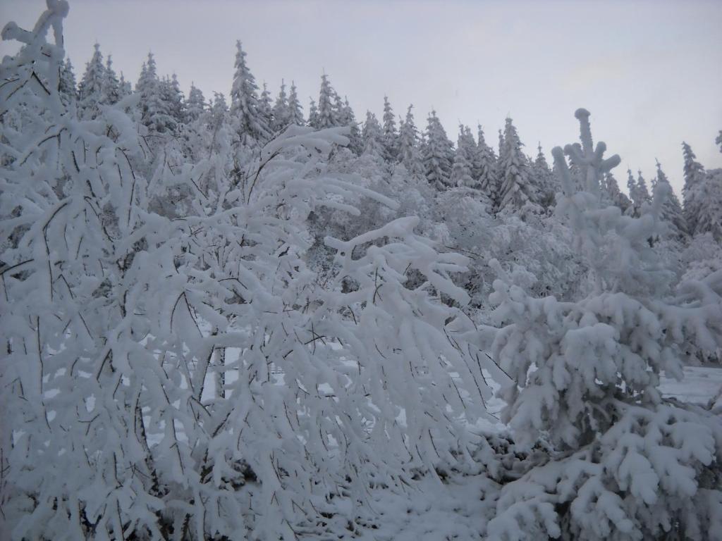 Hotel Gergovia Super Besse Esterno foto